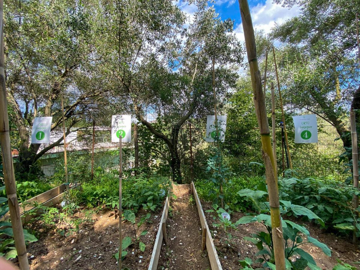 Tenuta Dei Normanni Daire Salerno Dış mekan fotoğraf